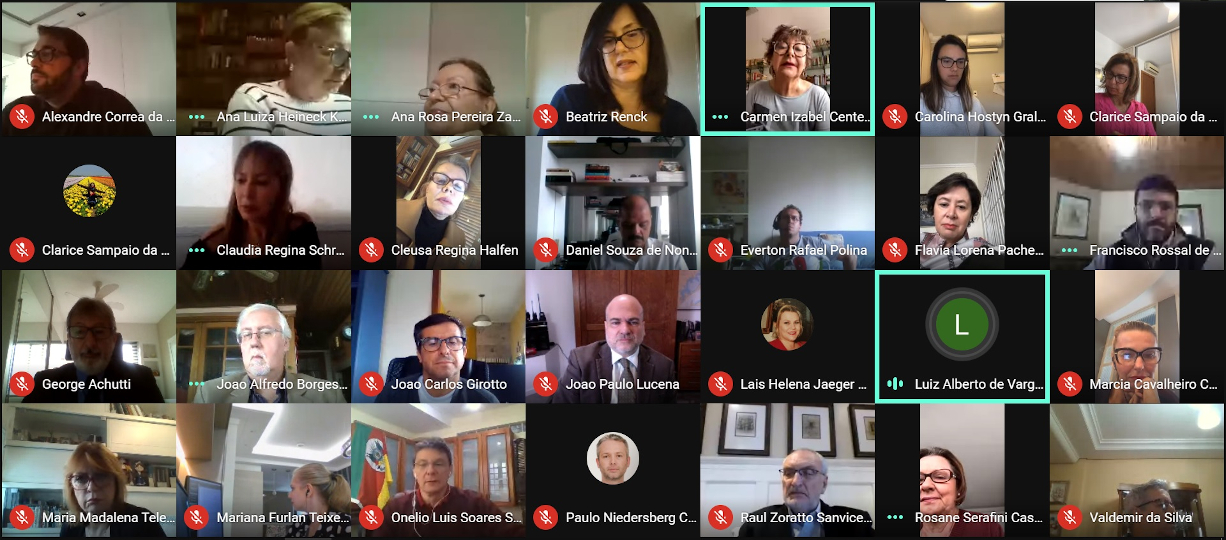 Captura de tela da grade de participantes da videoconferência