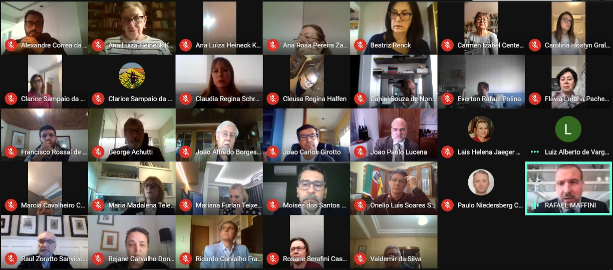 Captura de tela da grade de participantes da videoconferência