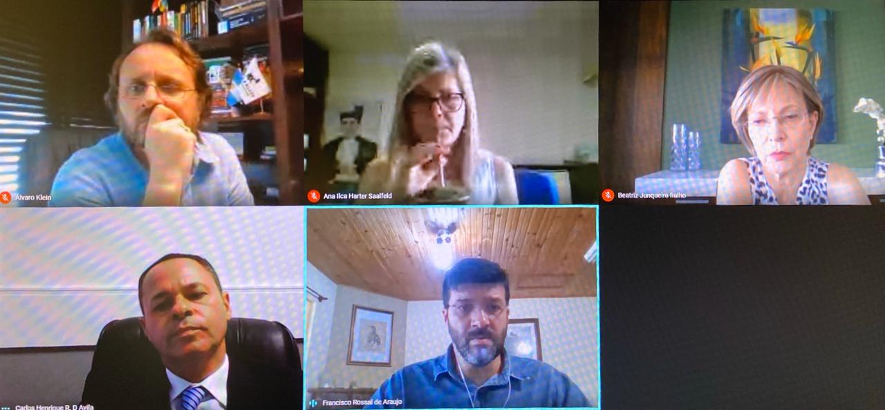 Captura de tela com a grade de participantes da videoconferência