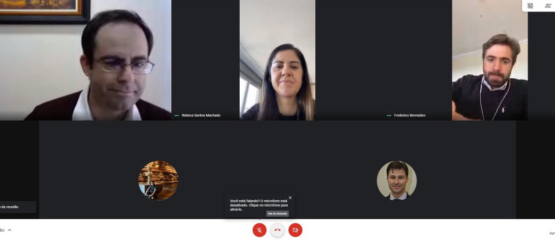 Foto da videoconferência com imagens de alguns participantes