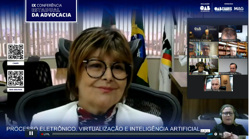 Print da tela de transmissão do evento, com a presidente Carmen em destaque, no lado esquerdo, e demais participantes da atividade em telas menores, ao lado direito.