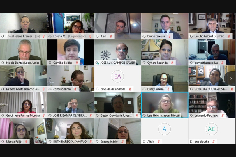 foto do webinar com imagens do participantes