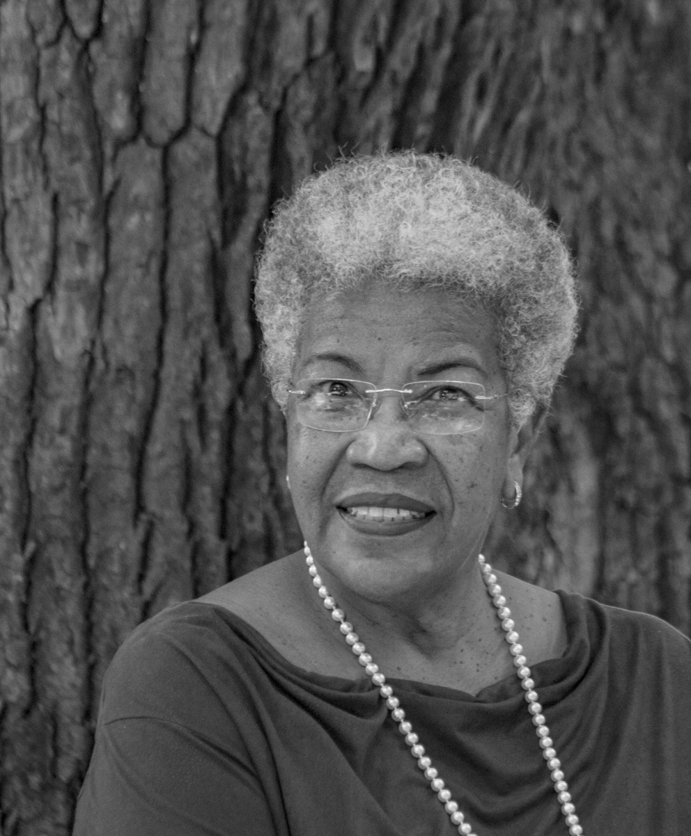 Vera Deisy Barcelos Costa (presidenta do Sindicato dos Jornalistas Profissionais e ativista do Movimento Feminista Das Mulheres Negras)