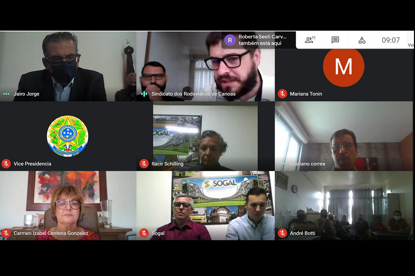 Print da imagem da videoconferência, mostrando os participantes em mosaico.