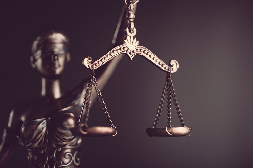 themis-retomada.jpg