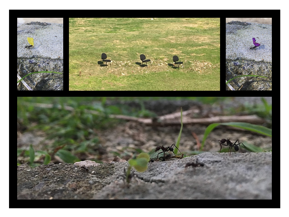 Sobrecarregadeiras 2