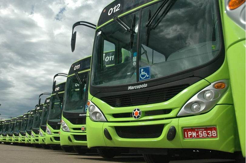 Imagem de uma frota de ônibus.