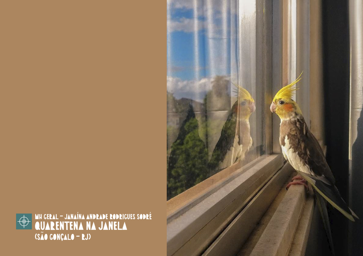 Menção Honrosa Geral - Janaína Andrade Rodrigues Sodré - Quarentena na Janela (São Gonçalo/RJ)