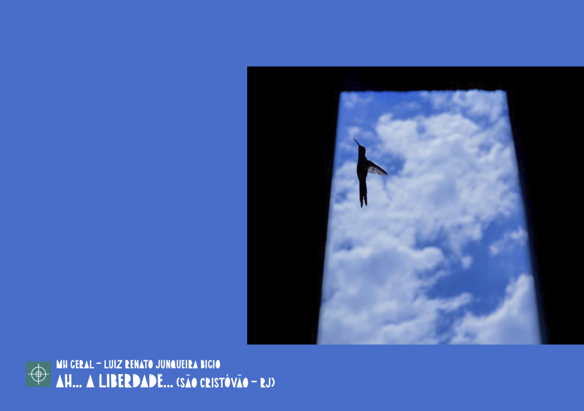 Menção Honrosa Geral - Luiz Renato Junqueira Bigio - Ah... A Liberdade... (São Cristóvao/RJ)