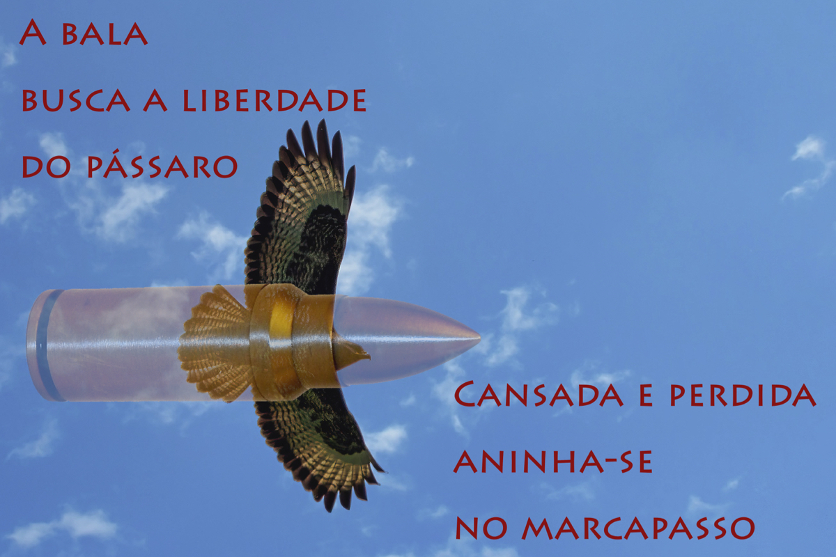 imagem de um projétil sobreposta às asas de um pássaro. texto: "a bala/busca a liberdade/do pássaro/cansada e perdida/aninha-se/no marcapasso"