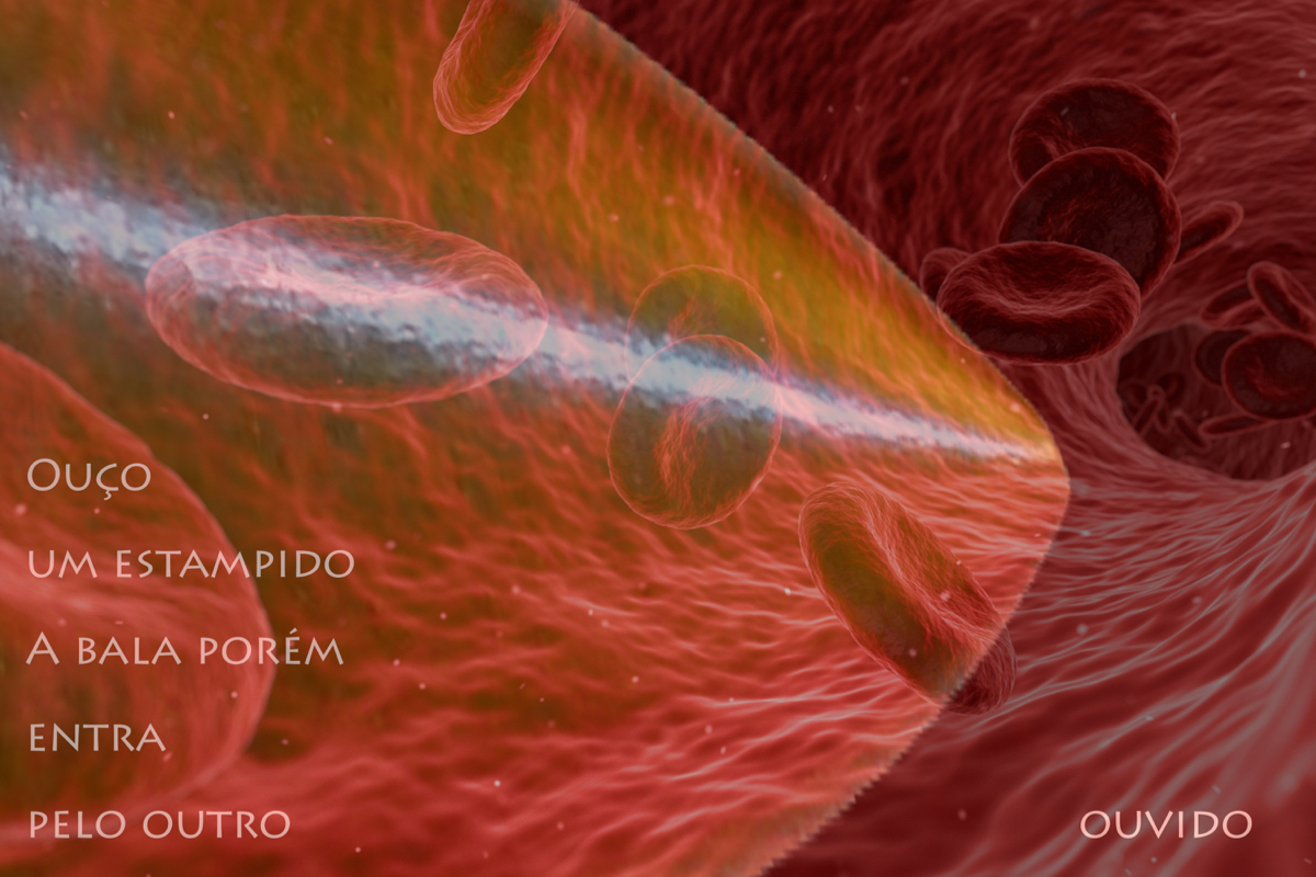 imagem de glóbulos vermelhos na corrente sanguínea. texto:"ouço/o estampido/a bala porém/entra/pelo outro/ouvido"