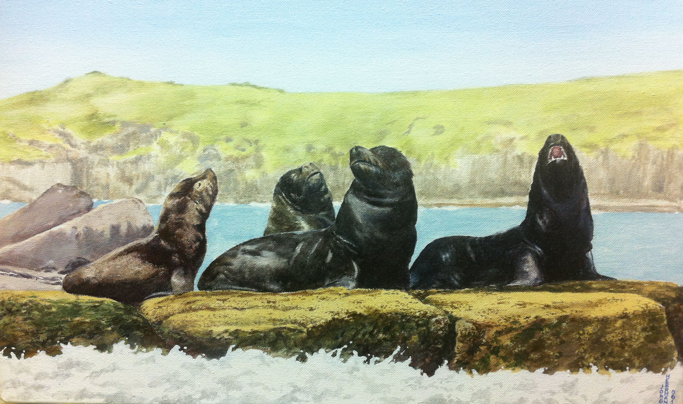 Pintura de quatro leões marinhos pretos sobre rochas. Um deles está com a boca aberta. A frente dele aparece a espuma de ondas do mar batendo nas rochas, atrás a praia e morros verdes.
