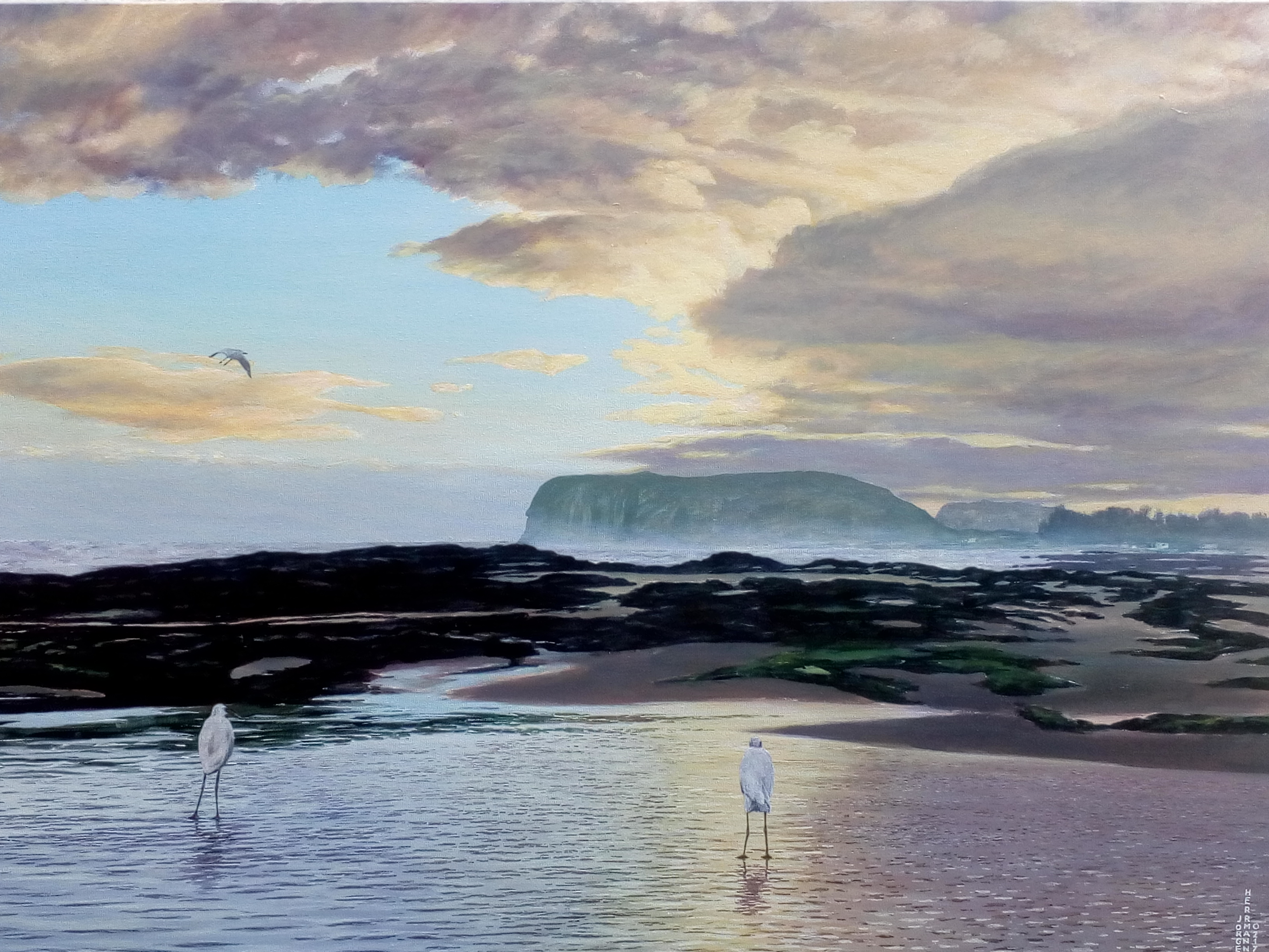 Pintura mostra duas gaivotas pousadas na praia e uma sobrevoando, no nascer do sol. Há um resto de onda na areia que reflete a luz. Ao fundo, as elevações rochosas. No céu nuvens nas cores cinza e amarelo refletem a luz do sol nascente.