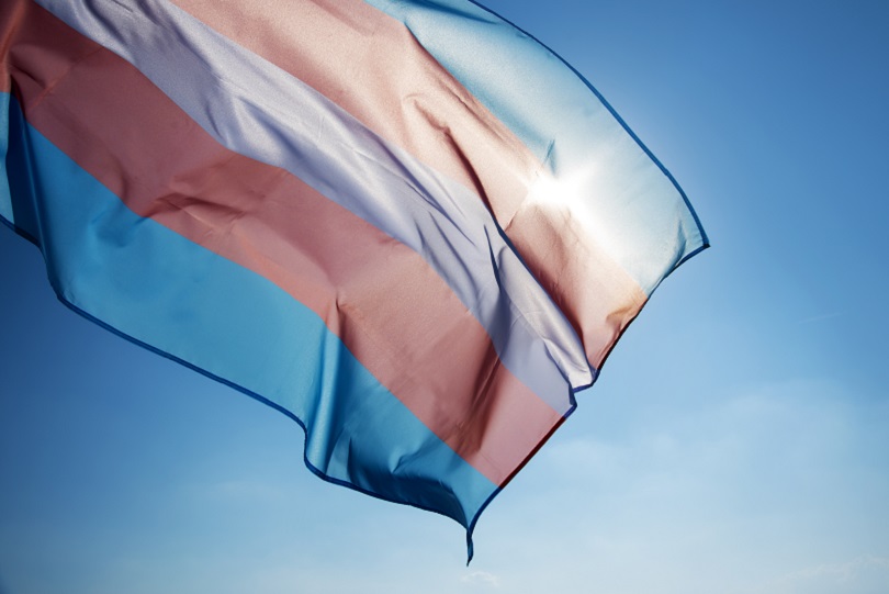 Foto ilustrativa da bandeira da visibilidade trans, nas cores rosa, azul e branca, sobre fundo azul claro.