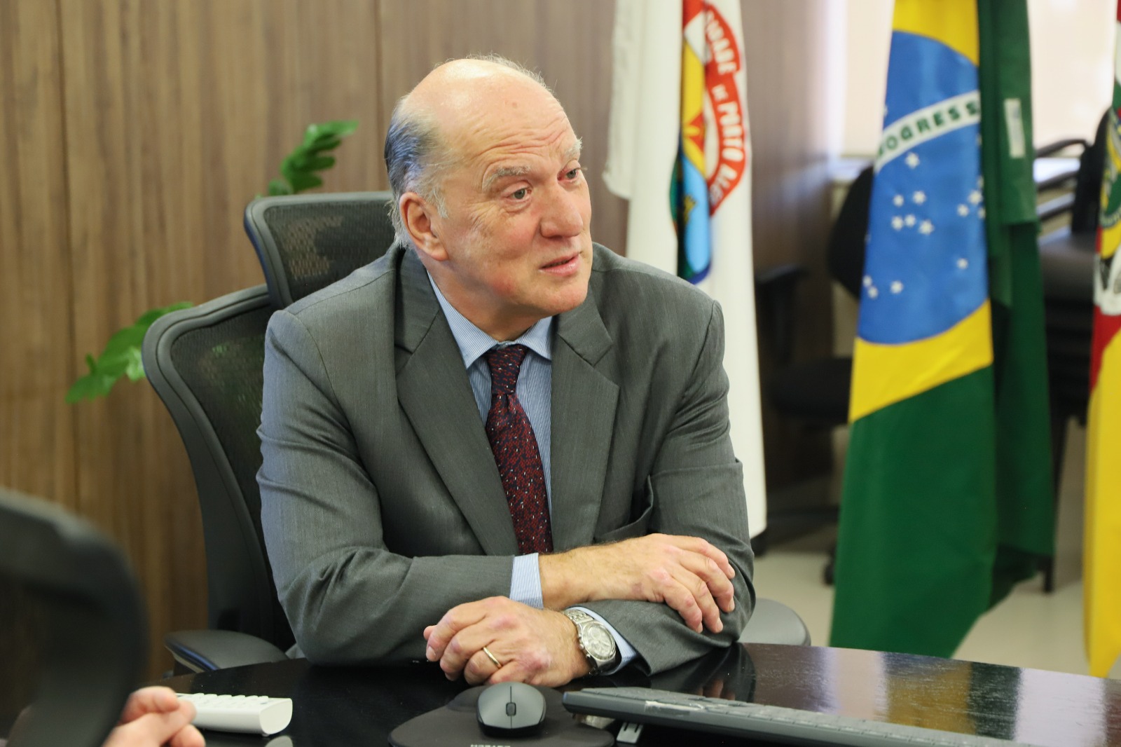 Martins Costa é calvo, veste terno cinza, camisa azul e gravata bordô. Está olhando para a direita a e falando, com os braços apoiados na mesa. Na direita da imagem aparecem bandeiras.