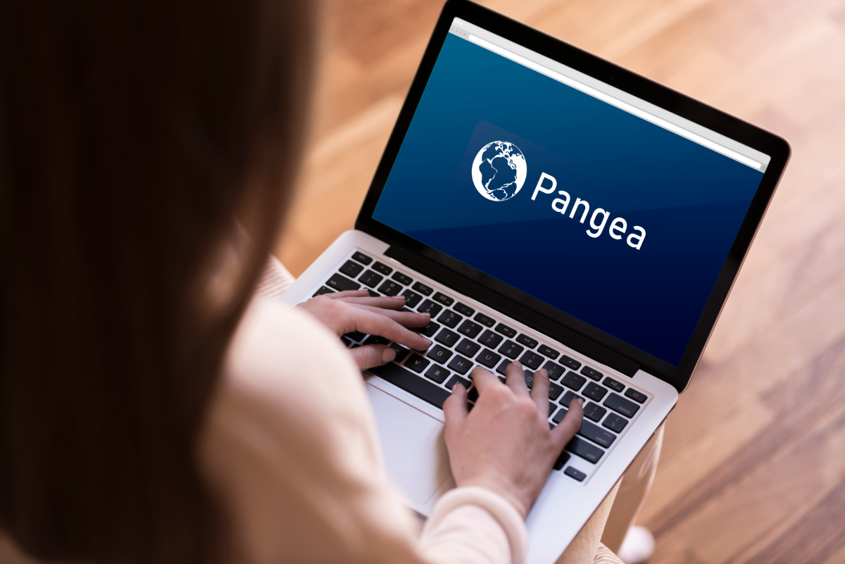 foto de uma mulher digitando em notebook. Na tela do notebook, a logomarca do Pangea.