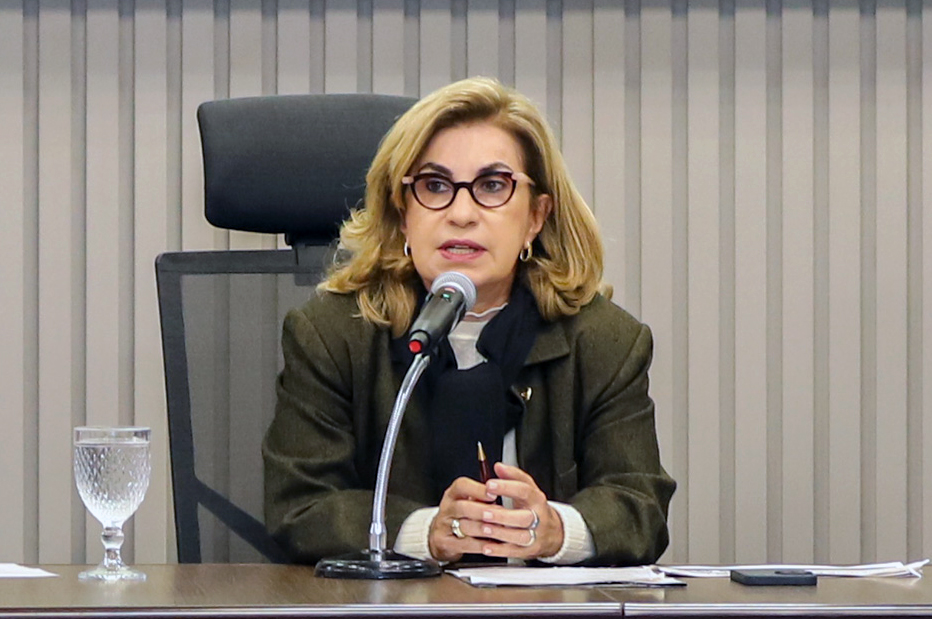 Desembargadora Ana Paula está sentada à mesa, falando ao microfone.