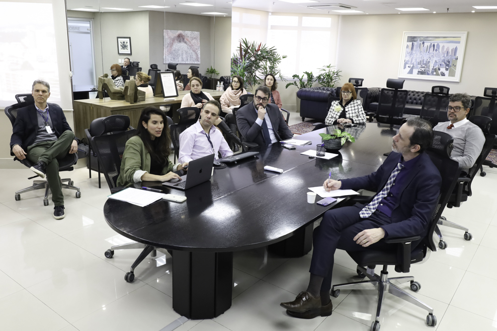 Foto geral do salão nobre, com 10 pessoas em volta da mesa de reuniões. Carolina está em primeiro plano, fala olhando para o notebook. A sua frente, Rafael está ouvindo o que ela fala. 