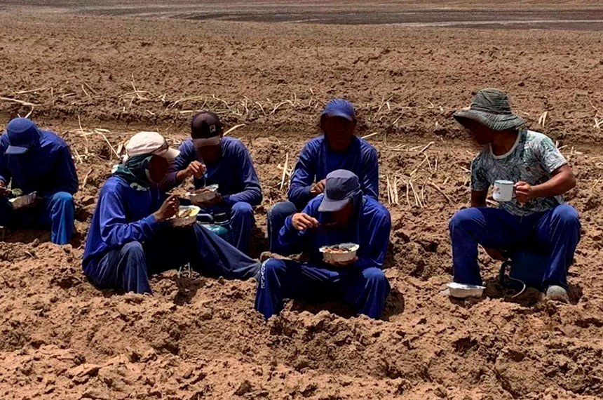Um grupo de trabalhadores sentados em solo seco de um campo, vestindo uniformes azuis e com marmitas e copos nas mãos.