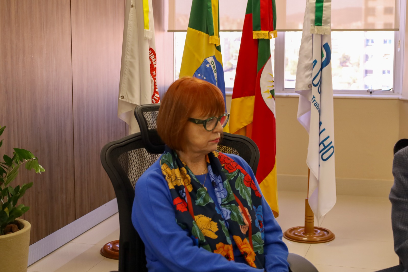 A foto mostra a desembargadora Maria Madalena Telesca.