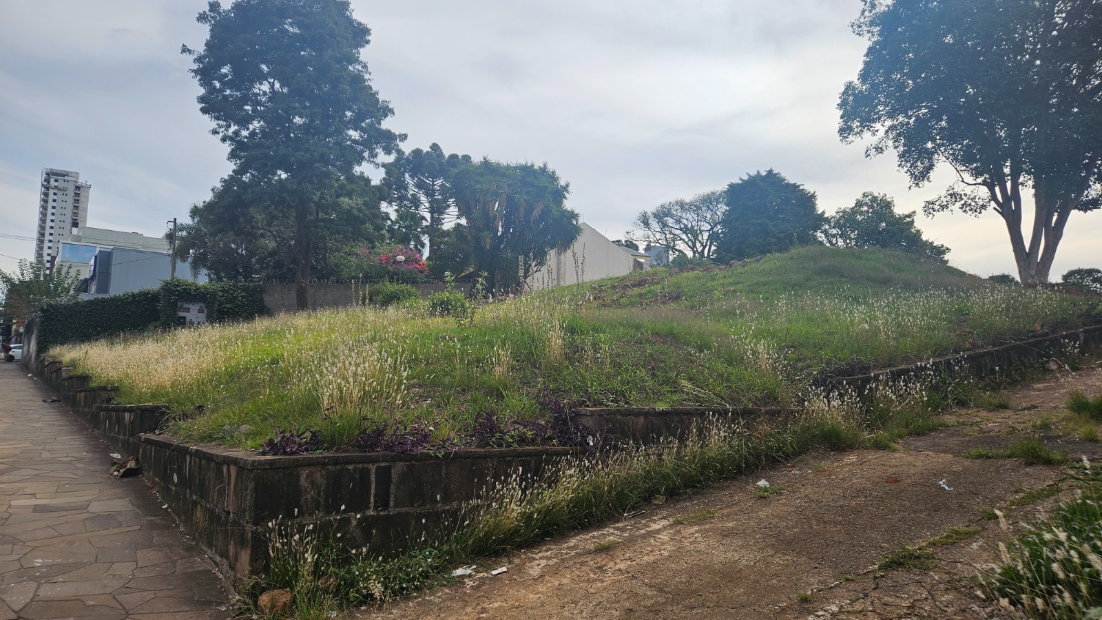 Terreno visto da esquina. Aparece a calçada , um pequeno muro, e o gramado do terreno, com árvores e construções vizinhas ao fundo. 