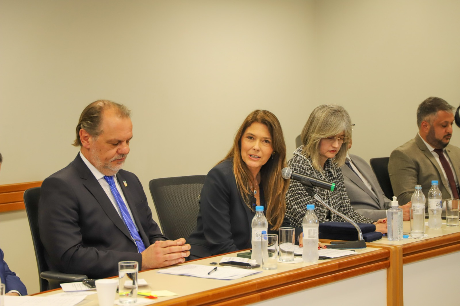 Subprocuradora-geral de Justiça, Josiane Superti Brasil Camejo