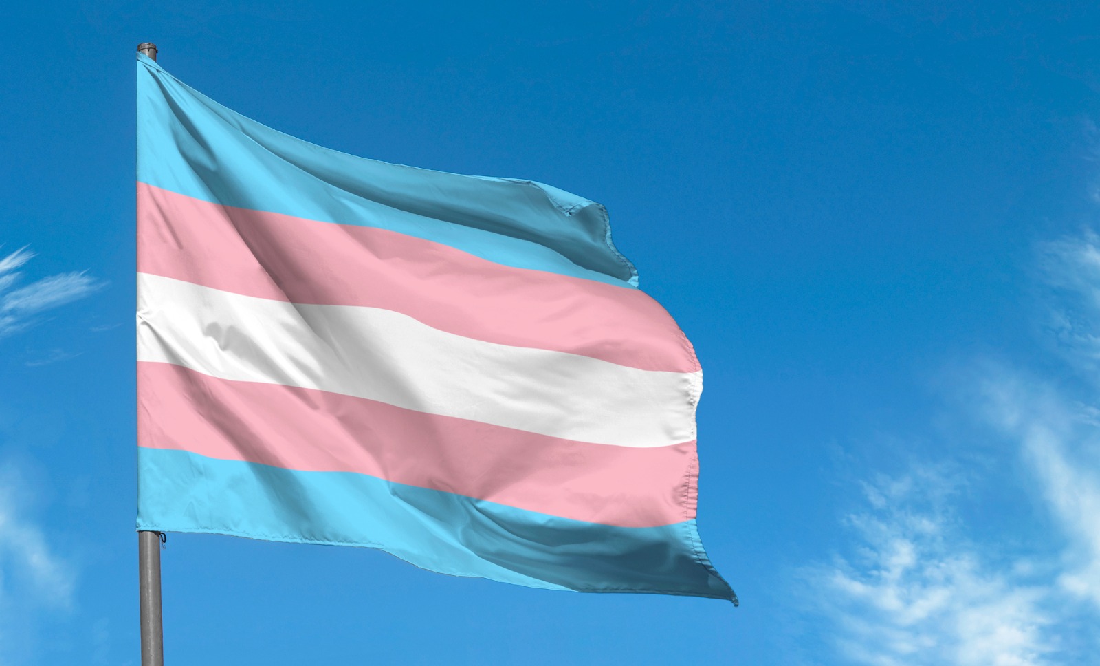 Foto de uma bandeira trans tremulando, nas cores azul, rosa e branca em listras horizontais. Ao fundo aparecem um ceu azul com nuvens.
