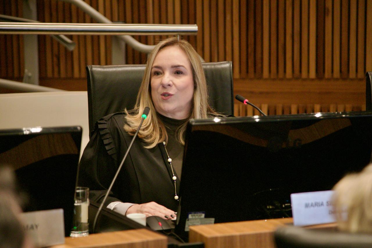 A foto mostra a desa. Silvana discursando.