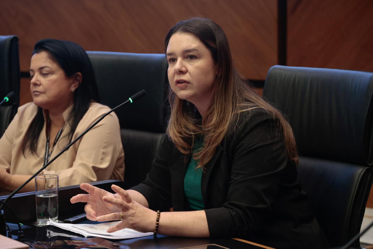 Na nave central, arquivista Flávia Rossato palestrando