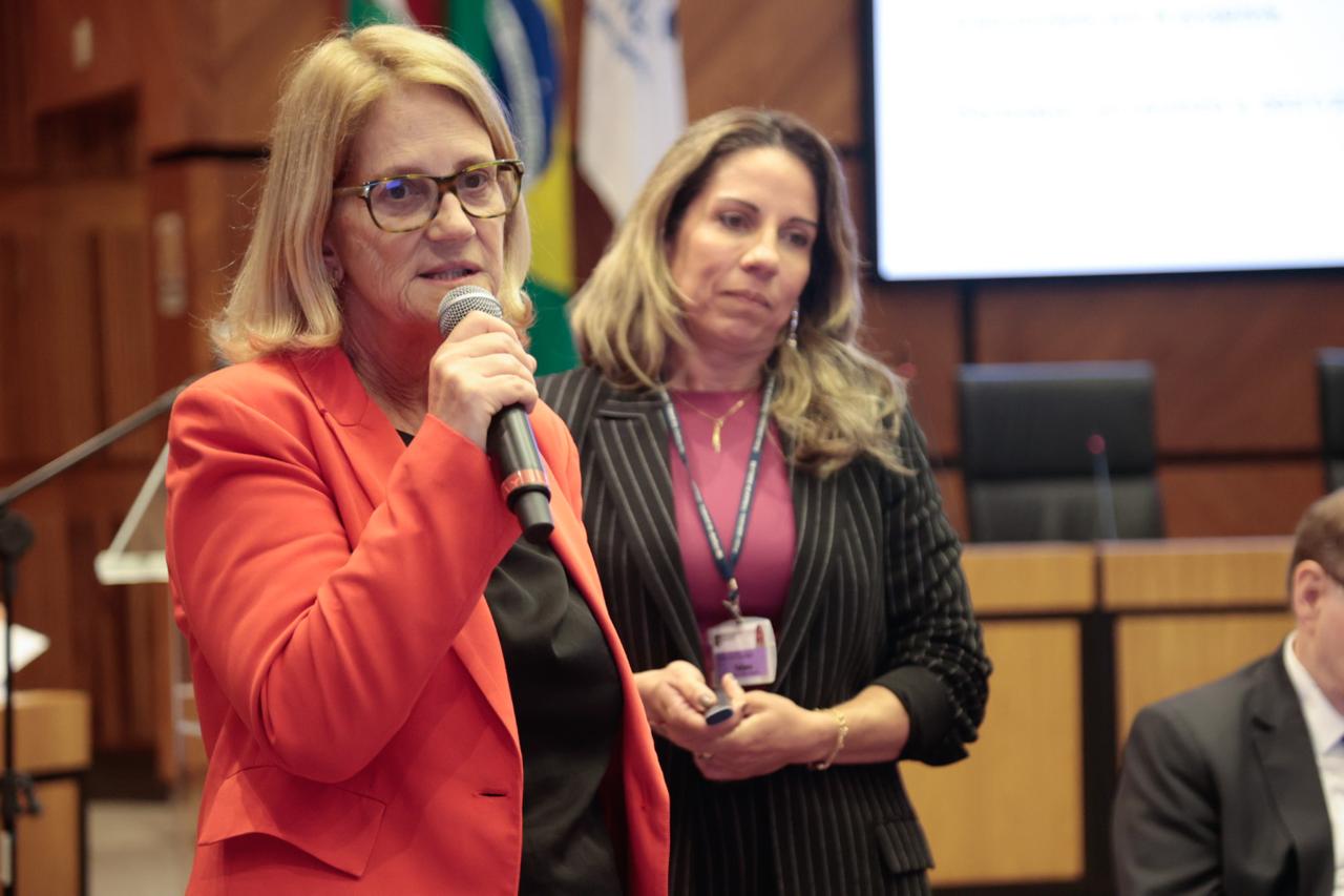 Desembargadora Liselena Schifino Robles Ribeiro