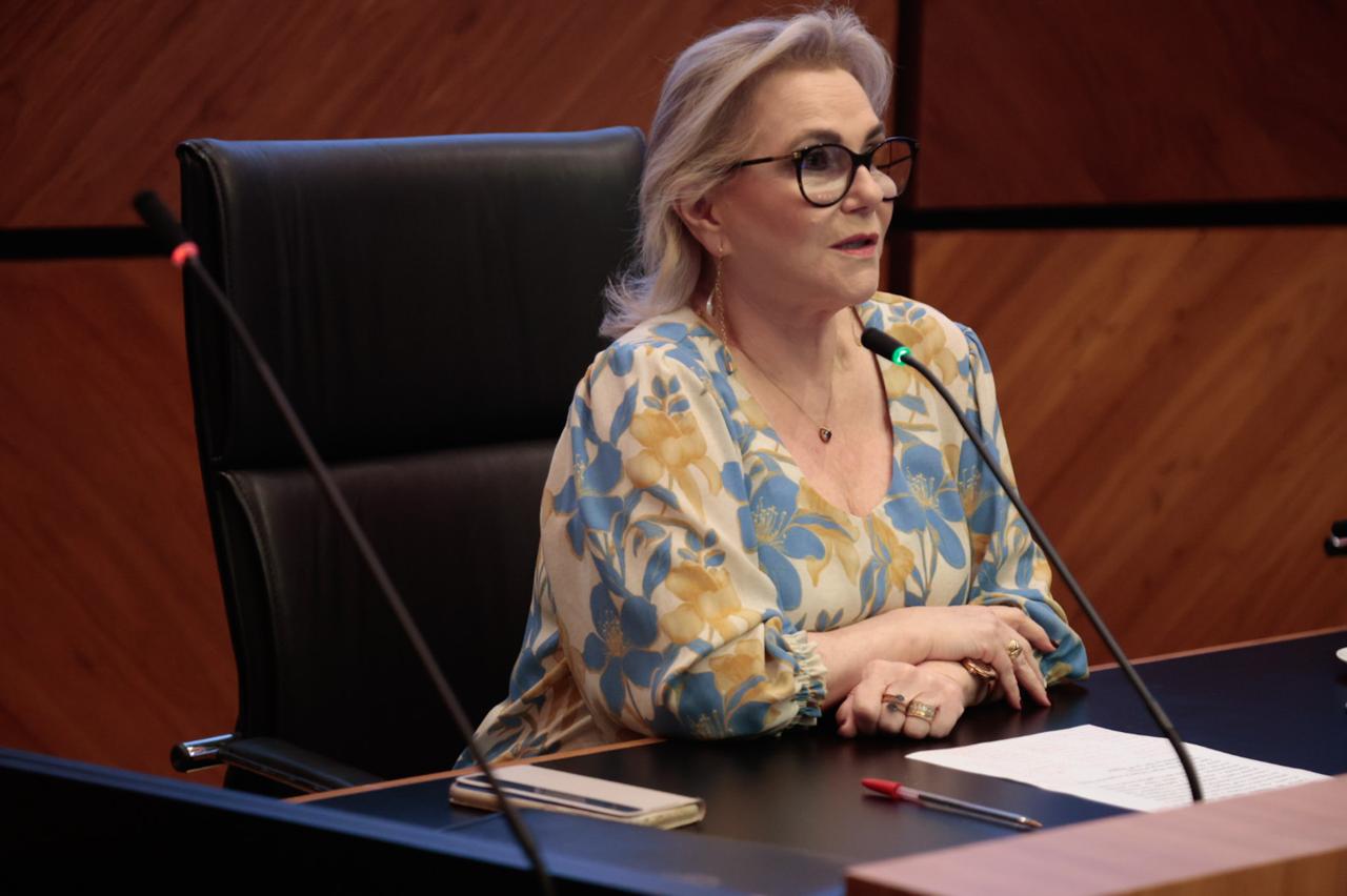 A foto mostra a desa. Laís falando ao microfone.