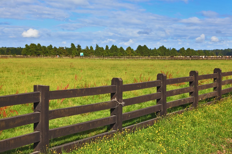 A foto ilustrativa mostra uma ampla área rural com um campo verde coberto por grama e pequenas flores amarelas. Em primeiro plano, há uma cerca de madeira escura, composta por traves horizontais e postes verticais, delimitando o terreno.