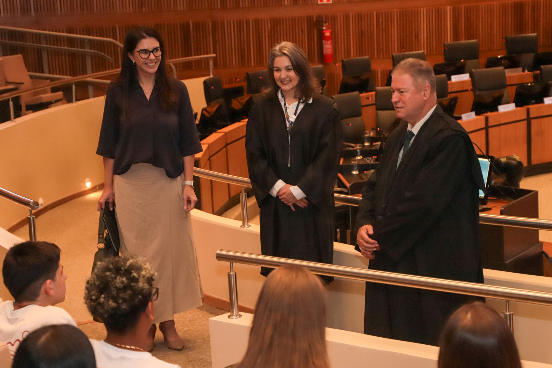 plenário com a juiza aline