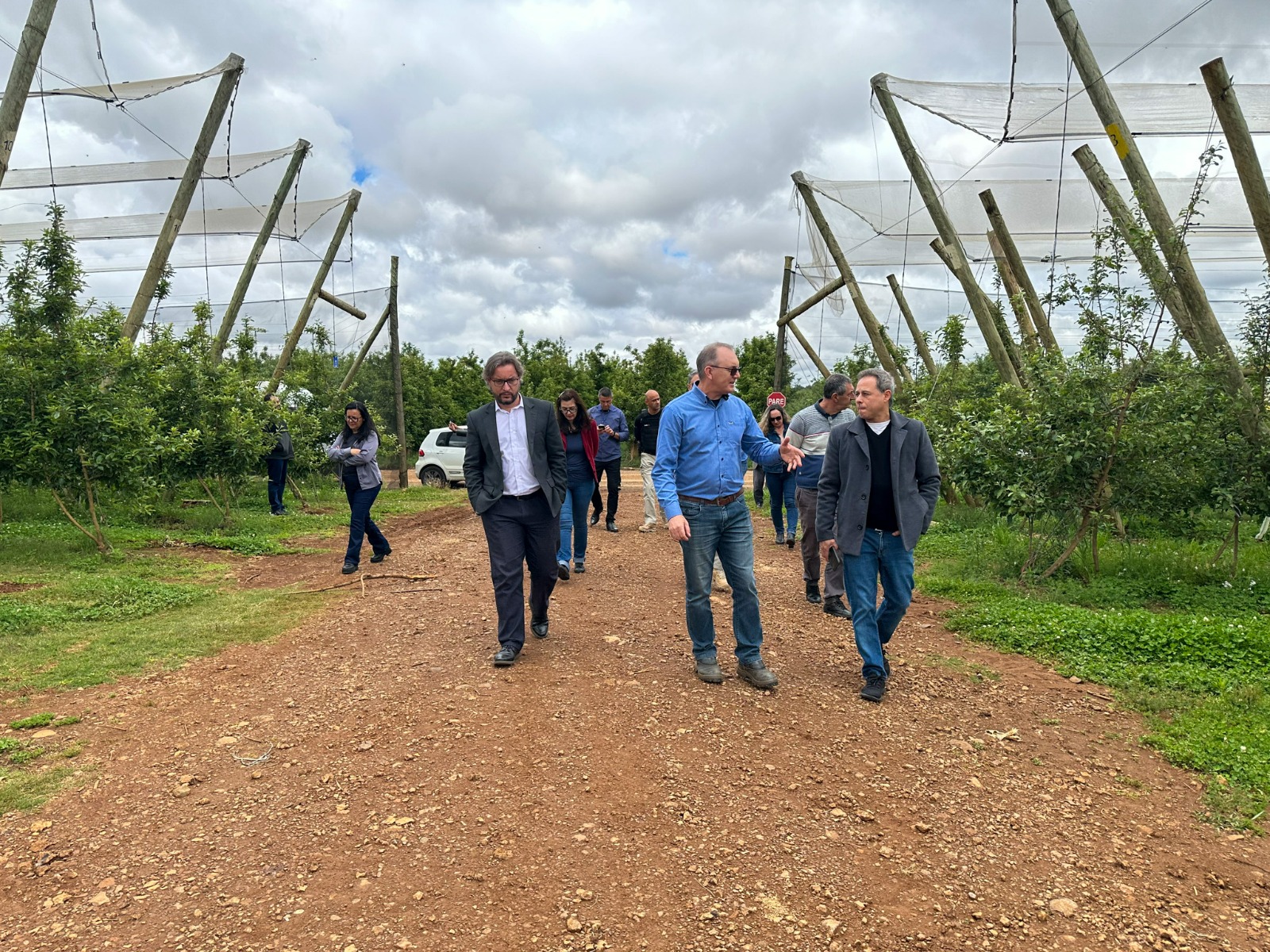 A foto mostra presentes caminhando num pomar