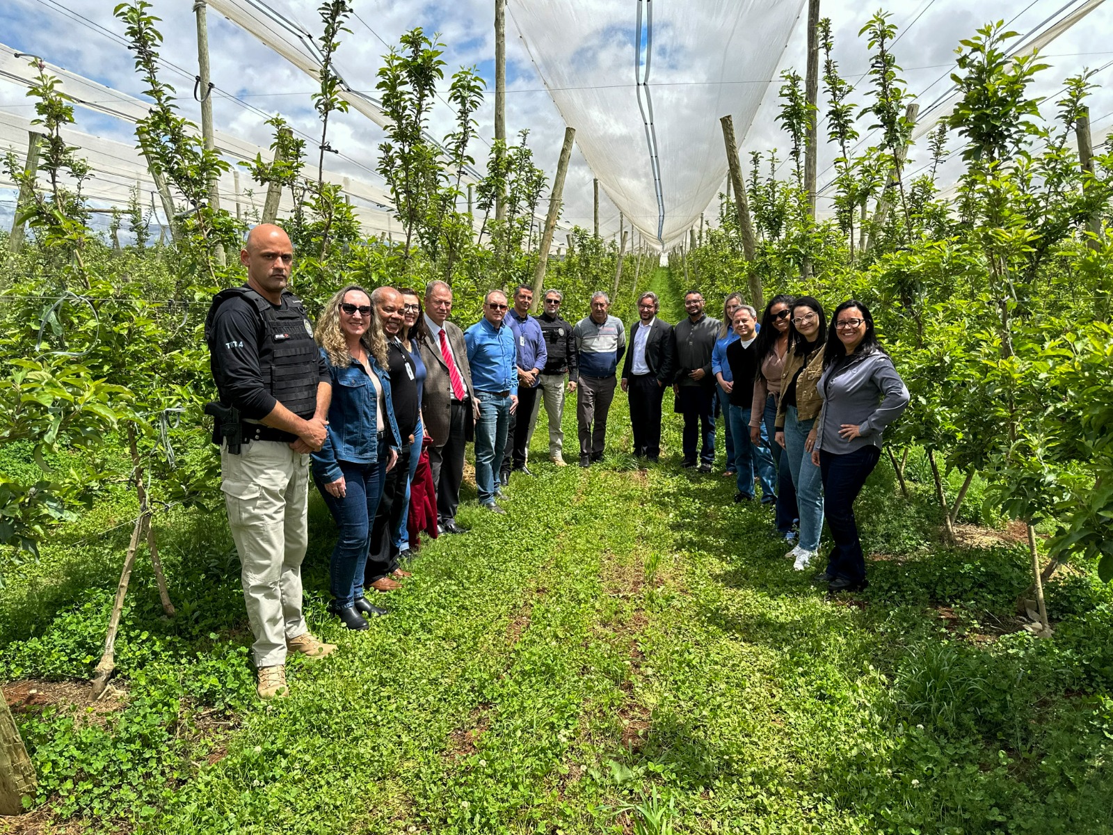 A foto posada no pomar