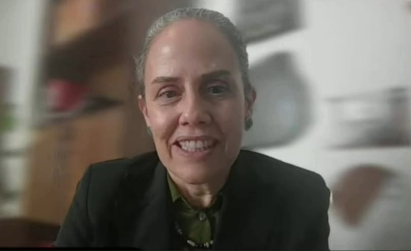 Tela de computador mostra a Diretora Regional da OIT Ana Virgínia é uma mulher com cerca de 50 anos, magra, pele clara e cabelos claros presos em um coque.