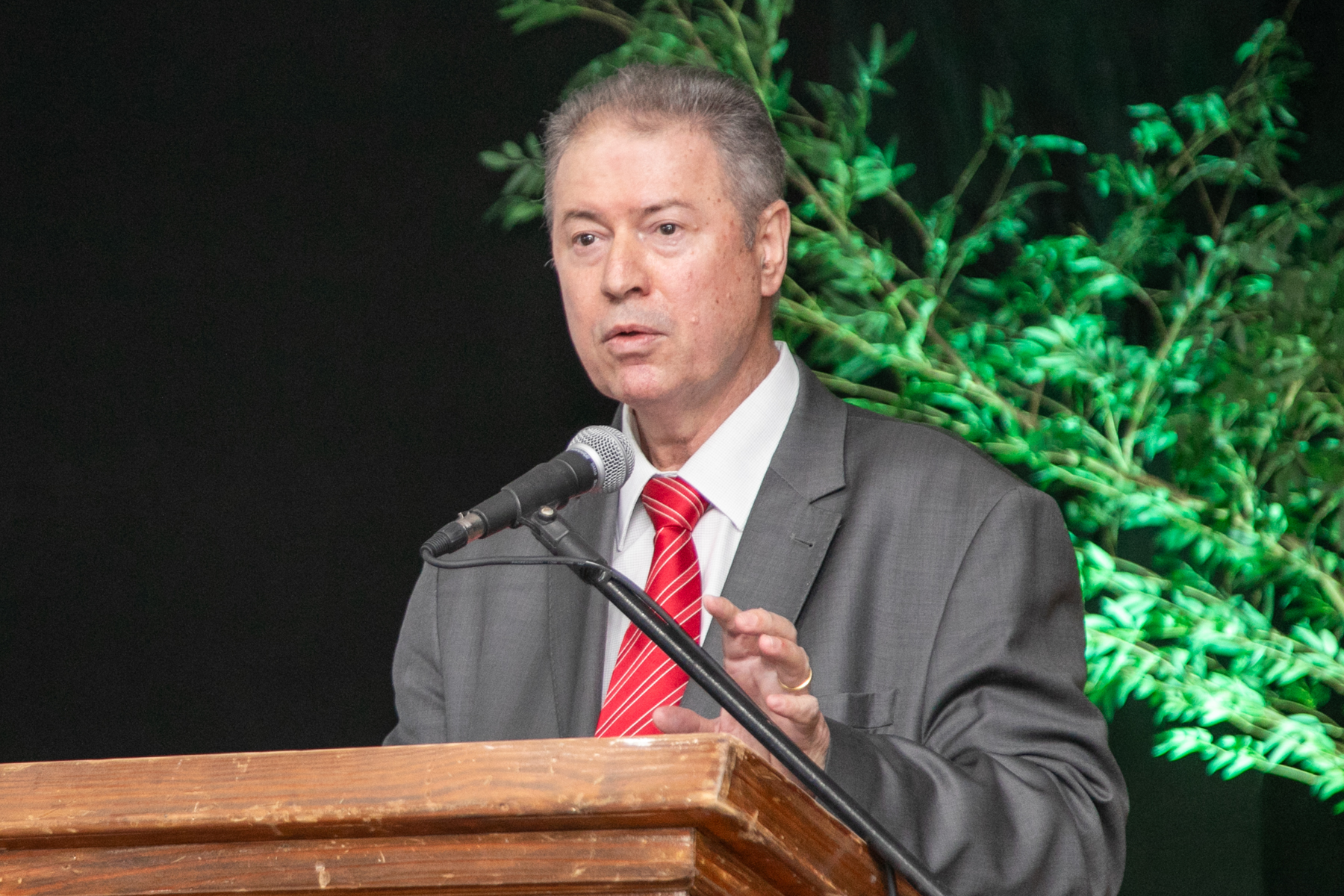 Des. Manuel Cid Jardon