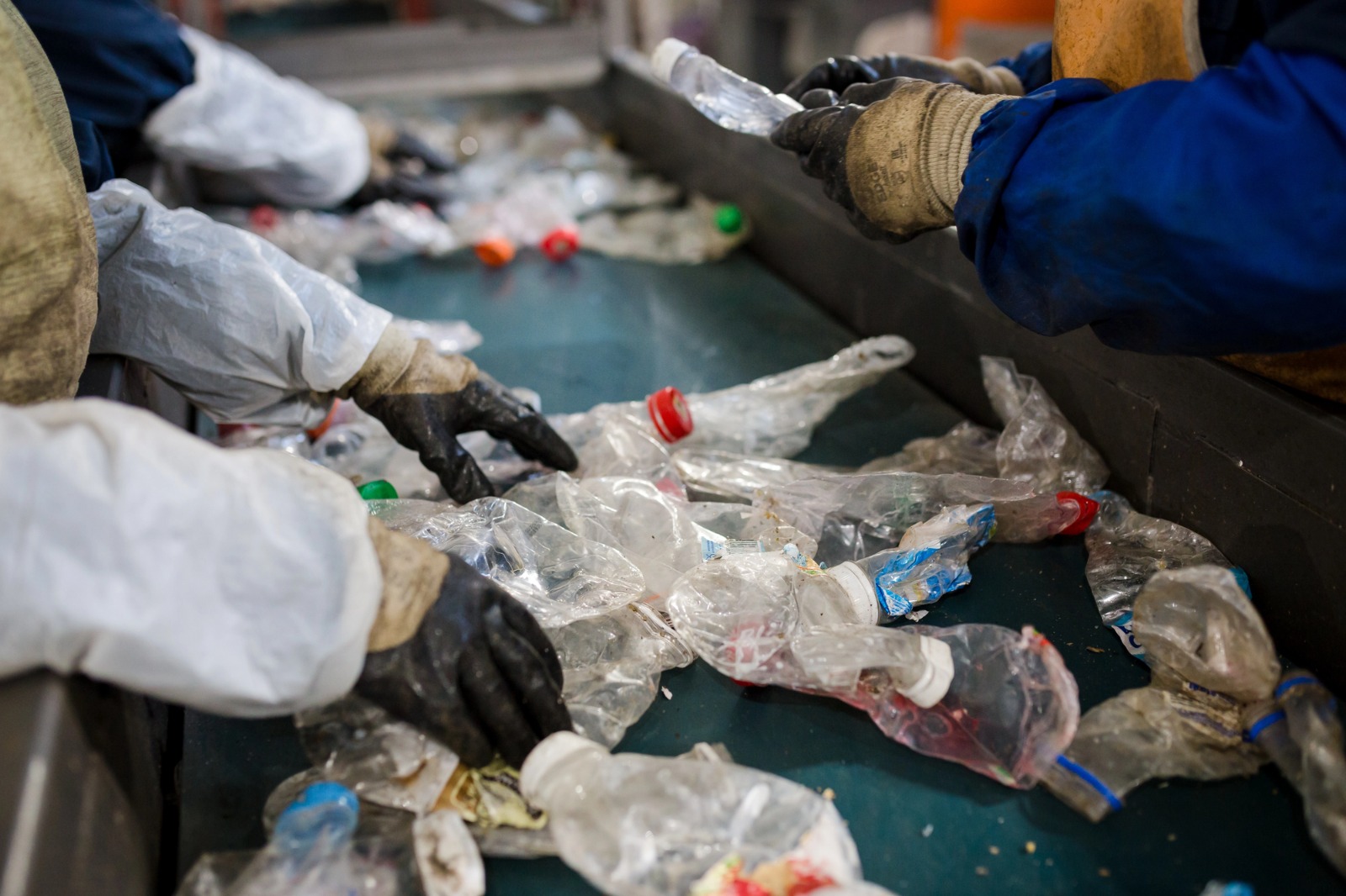 Mãos com luvas separam garrafas plásticas amassadas em uma esteira de triagem. Os frascos transparentes, com tampas coloridas, deslizam por uma superfície verde enquanto trabalhadores, atuam dos dois lados.