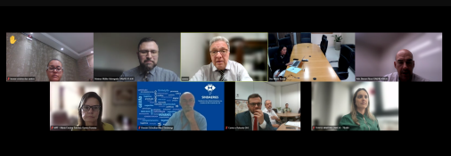 Captura de tela da viceoconferência da mediação.