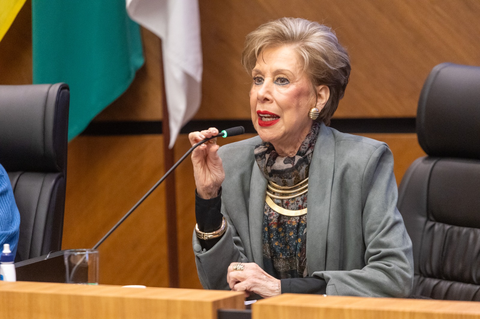 Maria Helena é branca, loira, de cabelo curto. usa blazer cinza e fala na mesa oficial. 