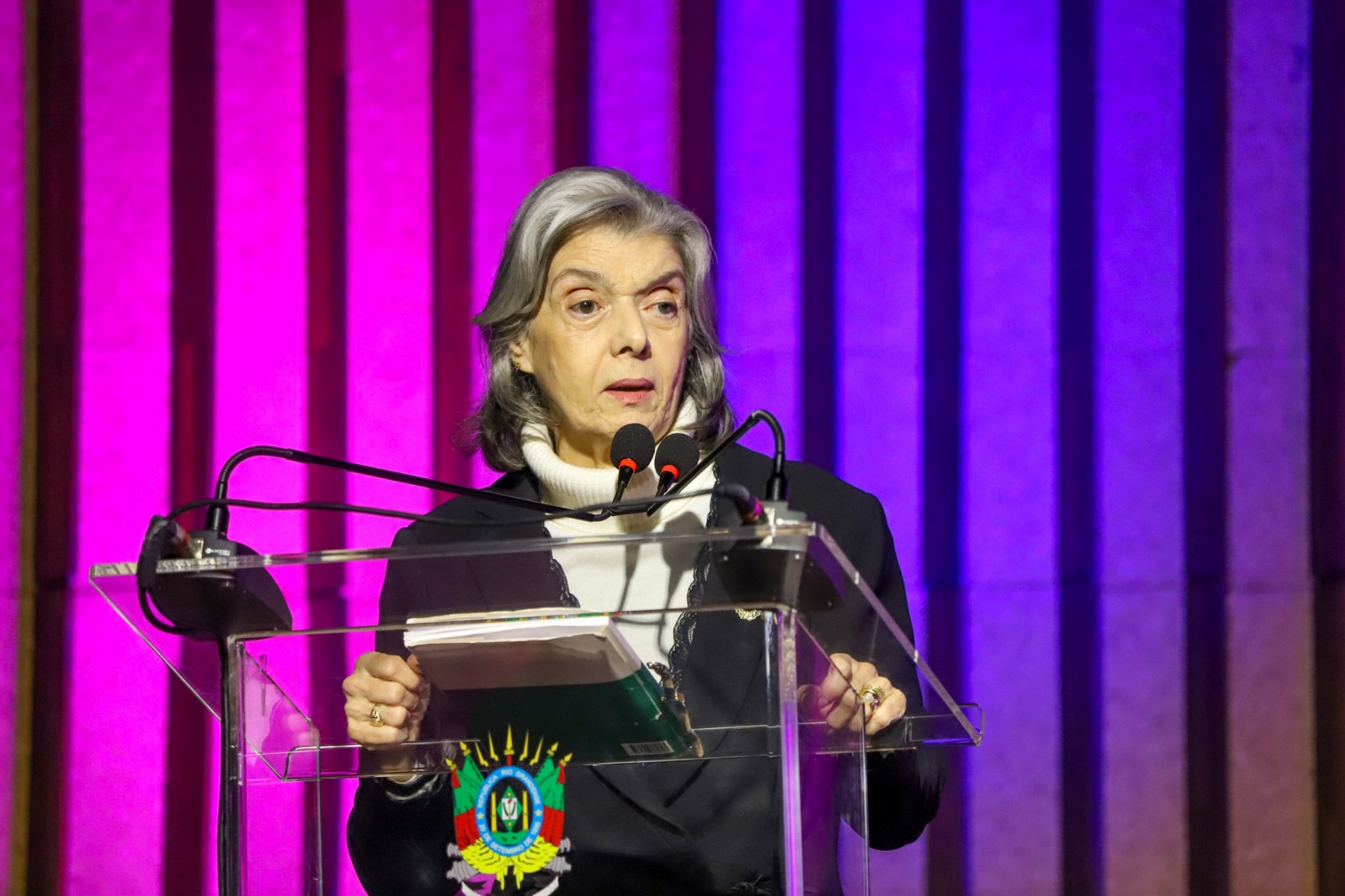 A foto mostra a ministra carmen palestrando em primeiro plano.
