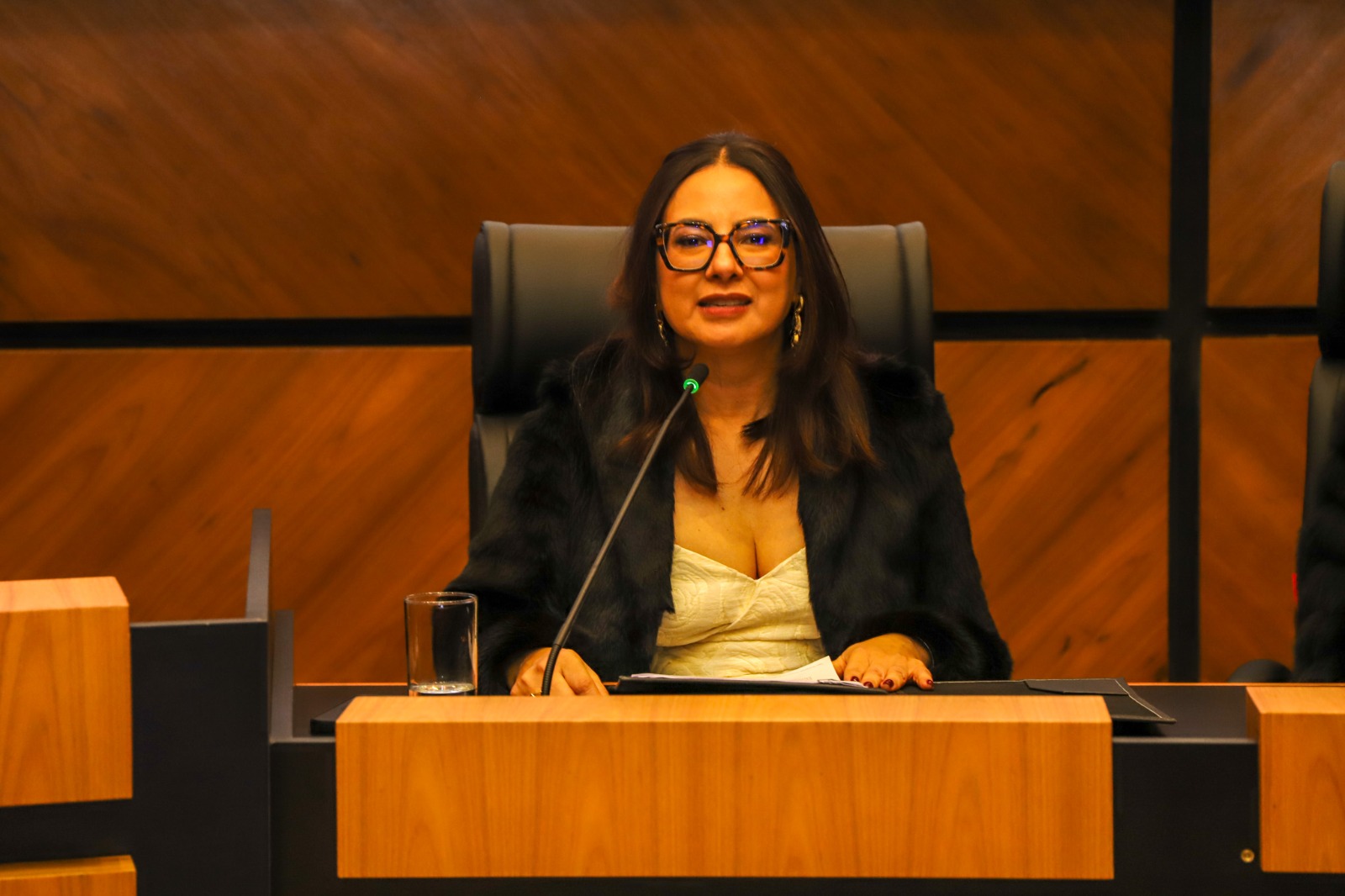 A foto mostra a juíza Eliane discursando.