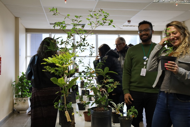 Imagem das mudas de plantas e pessoas reunidas na volta.