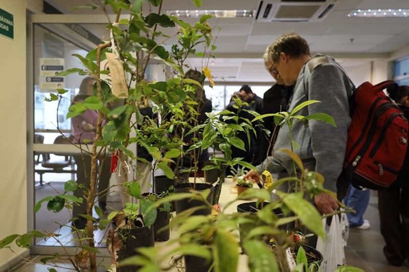 Imagem das mudas de plantas e pessoas reunidas na volta.
