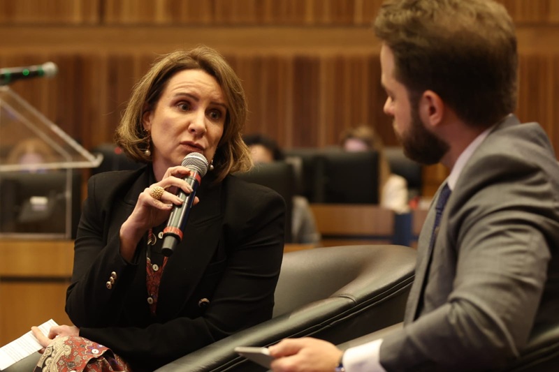 A foto mostra a professora Martha falando sobre litigância predatória.