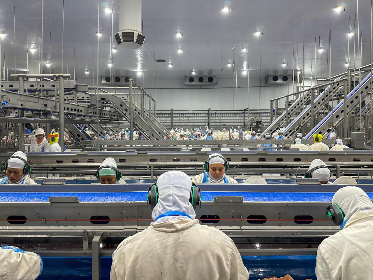 A foto mostra alguns trabalhadores em linha de produção.