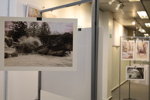 Imagem da exposição. Em primeiro plano, está uma fotografia de um cepo de madeira.