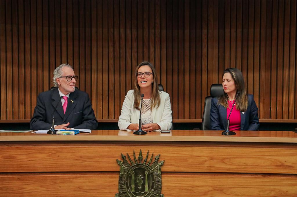 Juíza Carolina Gralha falando em um dos painéis