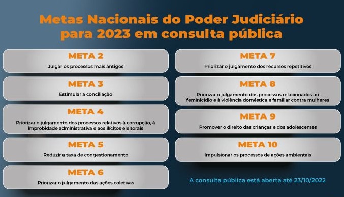 Arte para a pesquisa contendo as 10 metas propostas.