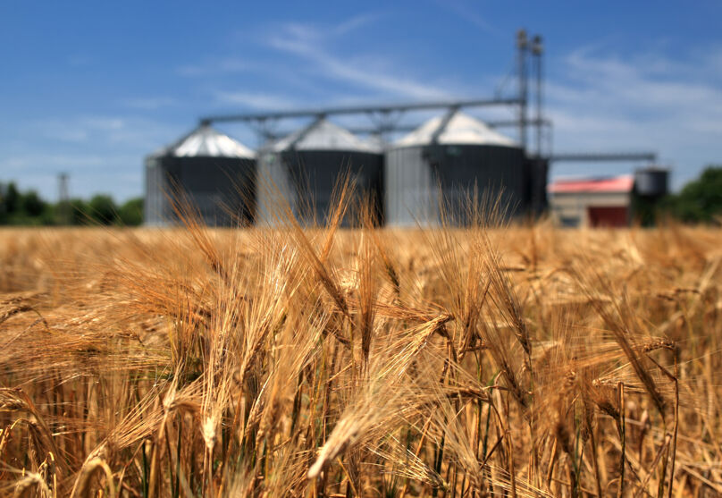 Foto ilustrativa de um campo de trigo com a imagem de três silos em segundo plano